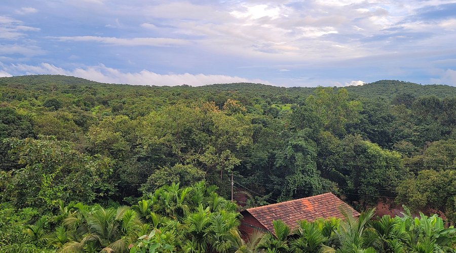 Konoha Eco Farmstay Dapoli